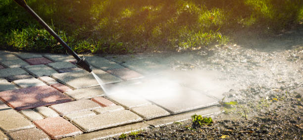 Best Animal Enclosure Cleaning  in East Griffin, GA